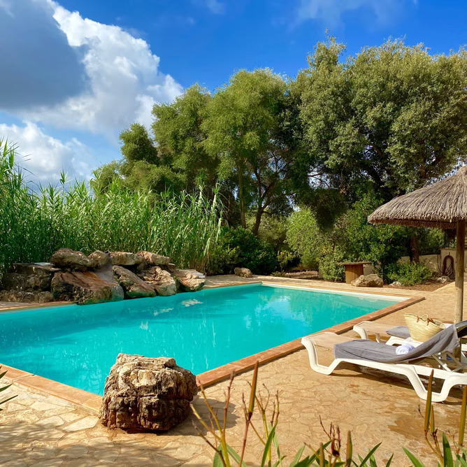 Pool mit Felsen, Schilf und Strohschirm unter blauem Himmel